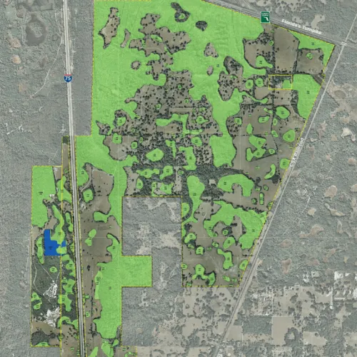 project monarch ranch planning